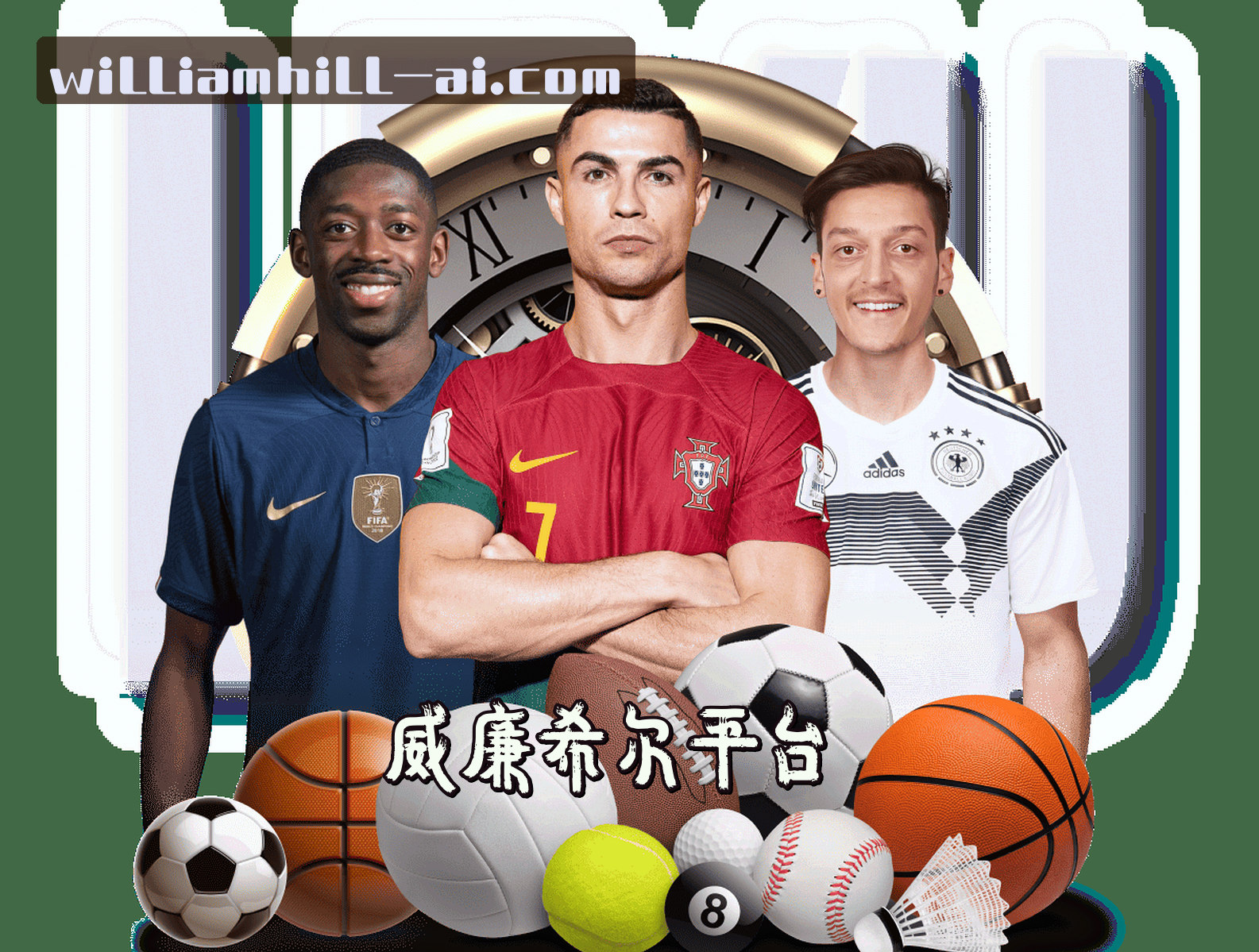 关于我们